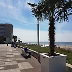 Apartment In Zandvoort