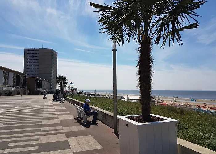 Apartman In Zandvoort