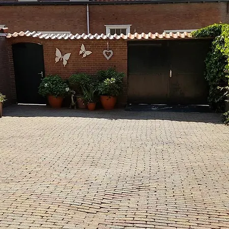 Apartamento In Zandvoort